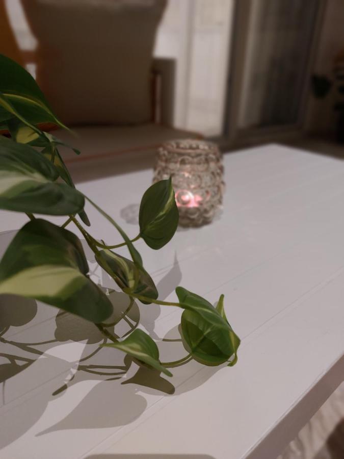 Nefeli Seaside Apartments 波利克罗诺 外观 照片