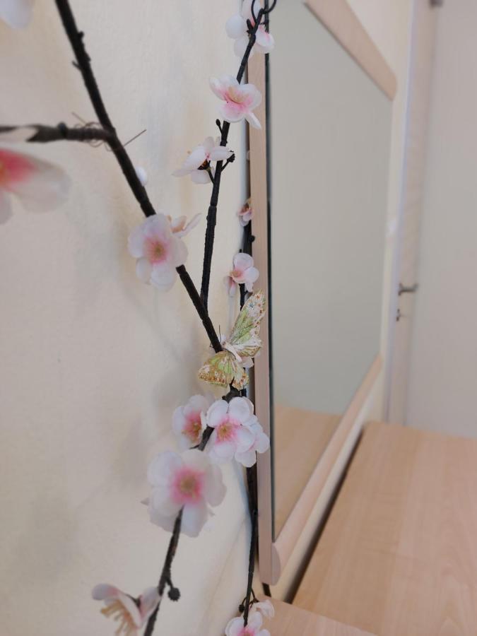 Nefeli Seaside Apartments 波利克罗诺 外观 照片